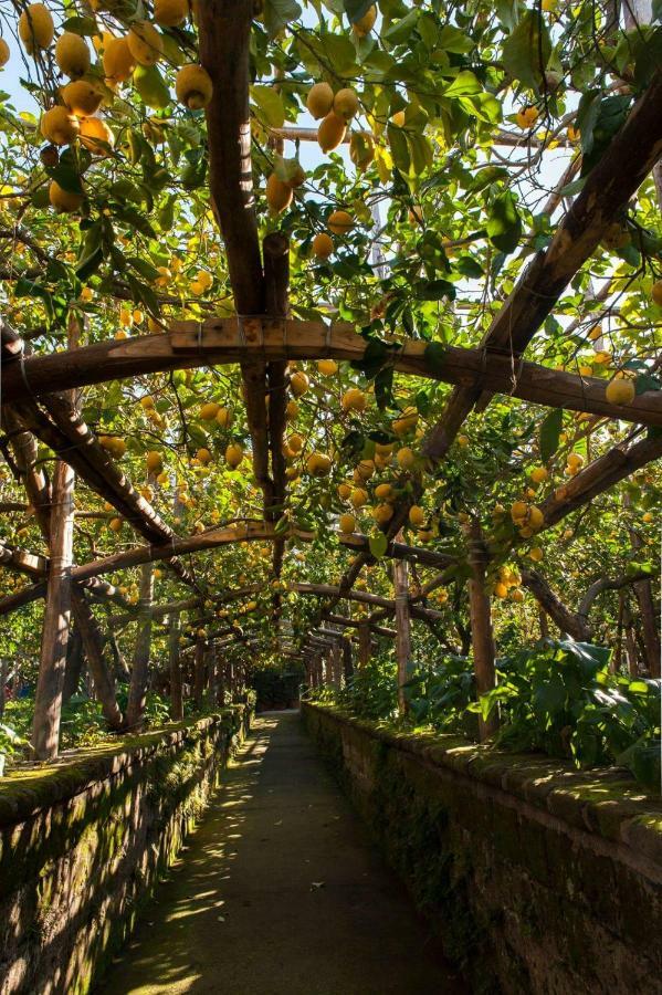 Вілла I Giardini Di Cataldo Сорренто Екстер'єр фото